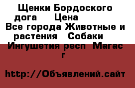 Щенки Бордоского дога.  › Цена ­ 30 000 - Все города Животные и растения » Собаки   . Ингушетия респ.,Магас г.